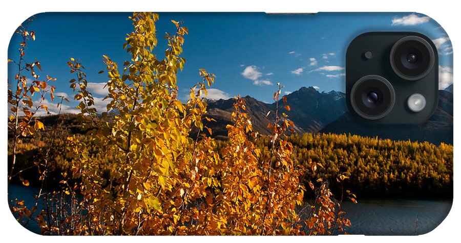 Nature iPhone Case featuring the photograph Fall Colors, Alaska #2 by Mark Newman