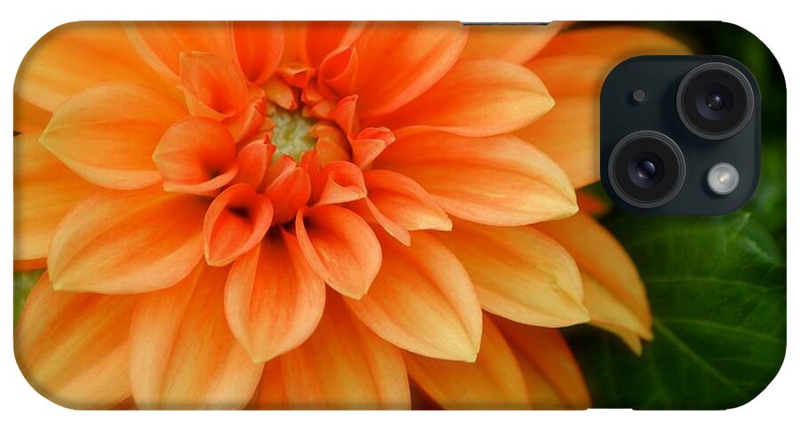 Orange Flower iPhone Case featuring the photograph Flower #2 by Deena Withycombe