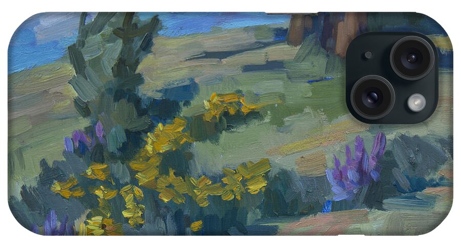 Flowering Meadow iPhone Case featuring the painting Flowering Meadow #2 by Diane McClary