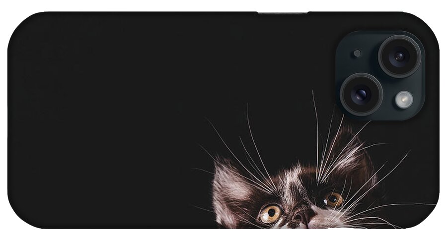 Pets iPhone Case featuring the photograph Fortunate Tails #2 by Matt Porteous