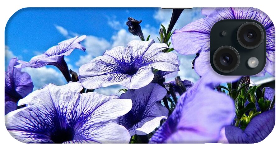 Morning Glories iPhone Case featuring the photograph Glorious Morning #2 by Randy Rosenberger
