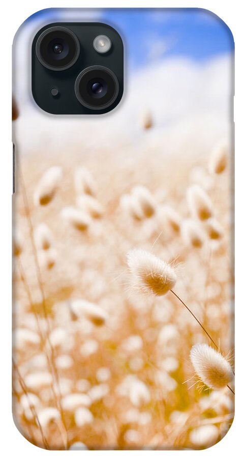 South Australia iPhone Case featuring the photograph Golden Field #2 by THP Creative