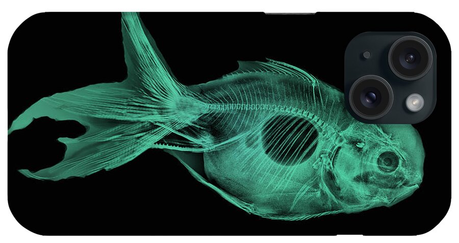 Animal iPhone Case featuring the photograph Goldfish X-ray #2 by Bert Myers