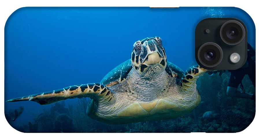 Hawksbill Turtle iPhone Case featuring the photograph Hawksbill #2 by Jean Noren