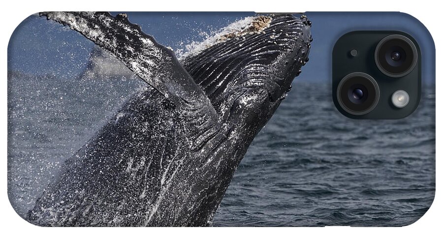 Hiroya Minakuchi iPhone Case featuring the photograph Humpback Whale Breaching Prince William #2 by Hiroya Minakuchi