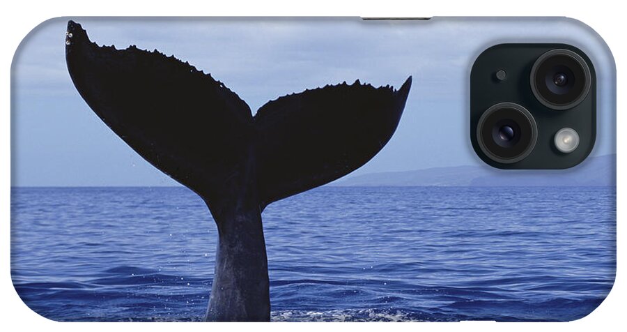 Feb0514 iPhone Case featuring the photograph Humpback Whale Tail Lob Maui Hawaii #2 by Flip Nicklin