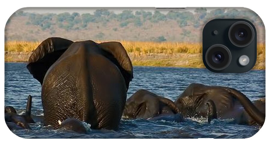 Elephants iPhone Case featuring the photograph Kalahari Elephants Crossing Chobe River #1 by Amanda Stadther