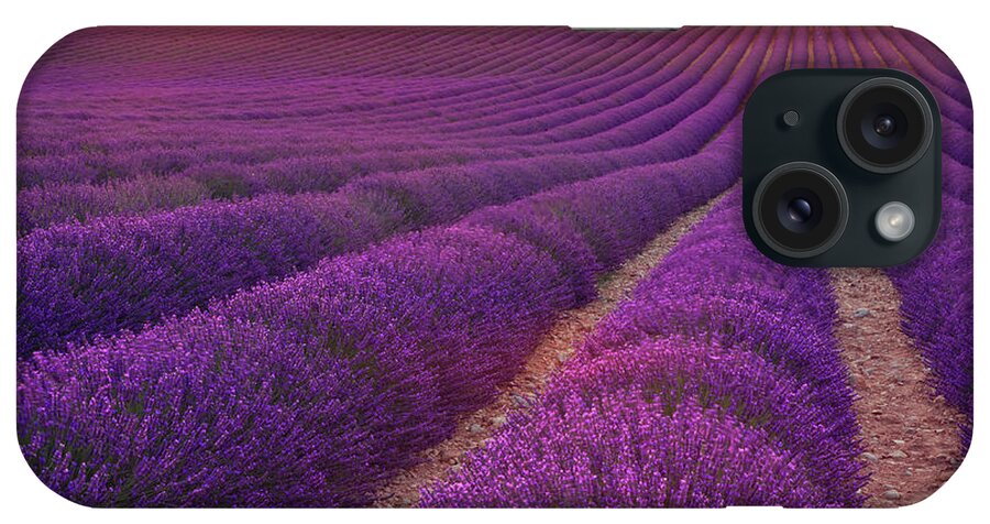 Dawn iPhone Case featuring the photograph Lavender Field At Dusk #2 by Mammuth