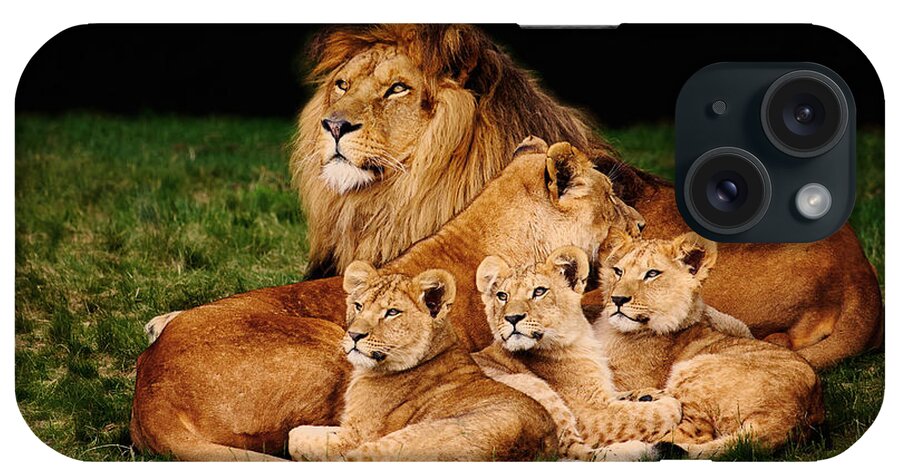 Lion iPhone Case featuring the photograph Lion family lying in the grass by Nick Biemans