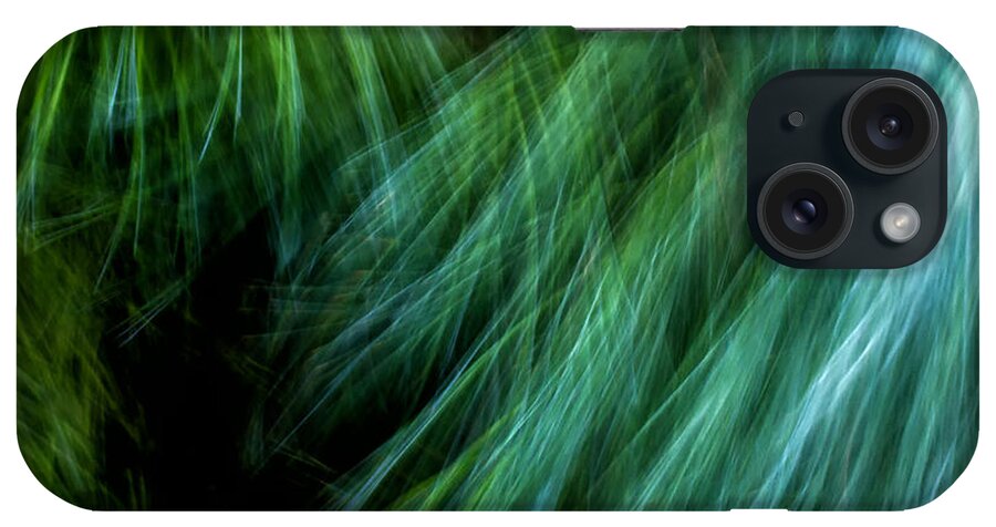 Joanne Bartone Photographer iPhone Case featuring the photograph Meditations on Movement in Nature #2 by Joanne Bartone