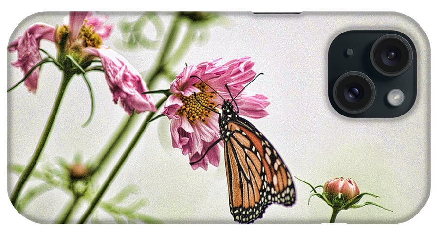 Monarch iPhone Case featuring the photograph Monarch #2 by David Armstrong