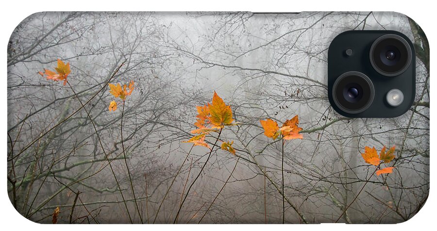 Shenandoa iPhone Case featuring the photograph Mountain Fog #2 by Farol Tomson
