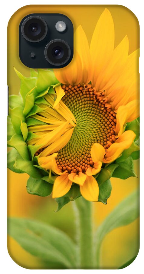 Opening Sunflower iPhone Case featuring the photograph Opening sunflower by Carolyn Derstine