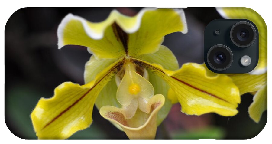 Orchid iPhone Case featuring the photograph Orchids by Sue Morris