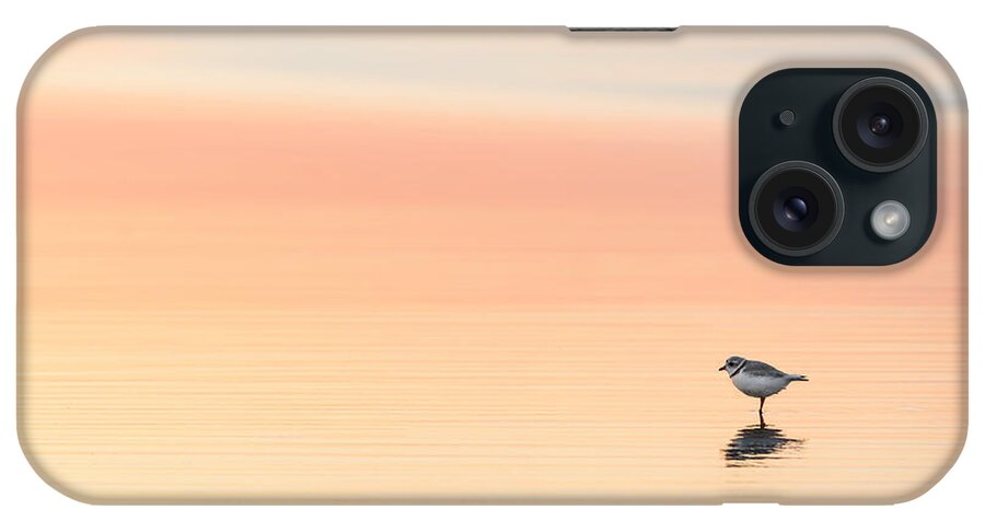 Piping Plover iPhone Case featuring the photograph Piping Plover #1 by Bill Wakeley