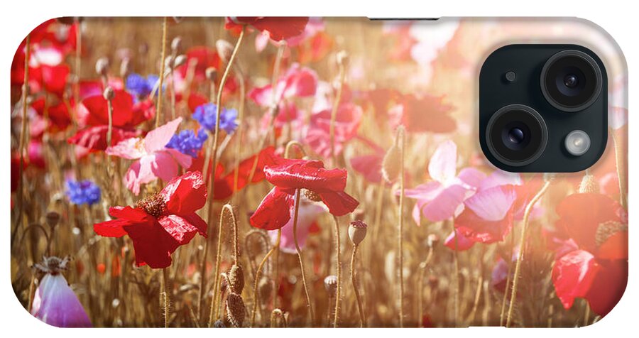 Poppies iPhone Case featuring the photograph Poppies in sunny meadow by Elena Elisseeva