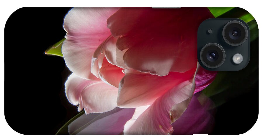 Tulip iPhone Case featuring the photograph Red Flower #1 by Christine Sponchia