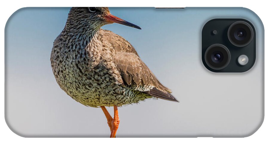Photography iPhone Case featuring the photograph Redshank Tringa Totanus, Flatey Island #2 by Panoramic Images