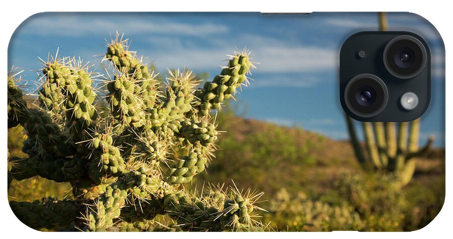 Close-up iPhone Case featuring the photograph Saguaro National Park Cactus Forest #2 by Jim West/science Photo Library