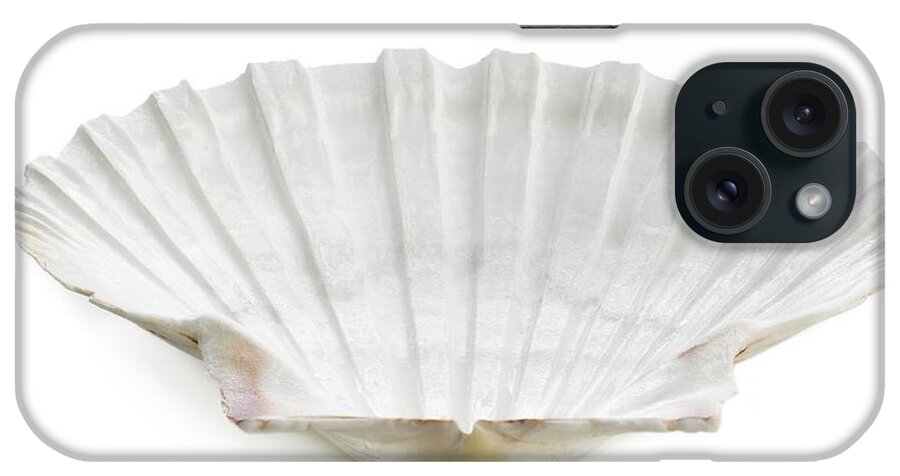 Biology iPhone Case featuring the photograph Scallop Shell #2 by Science Photo Library