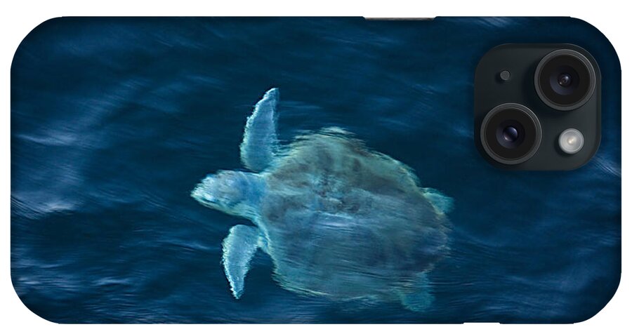 Sea Turtle iPhone Case featuring the photograph Sea Turtle by Tammy Schneider