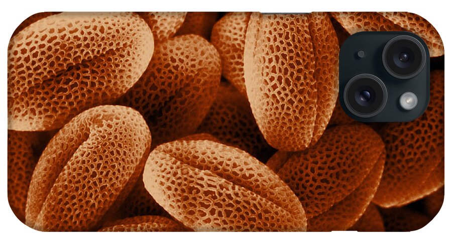 Sem iPhone Case featuring the photograph Sem Of Grass Pollen #8 by David M Phillips