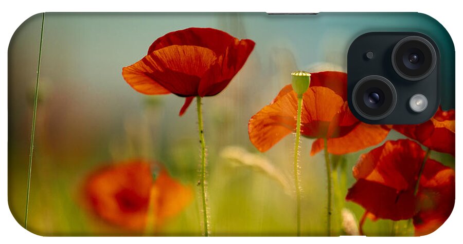 Poppy iPhone Case featuring the photograph Summer Poppy #2 by Nailia Schwarz