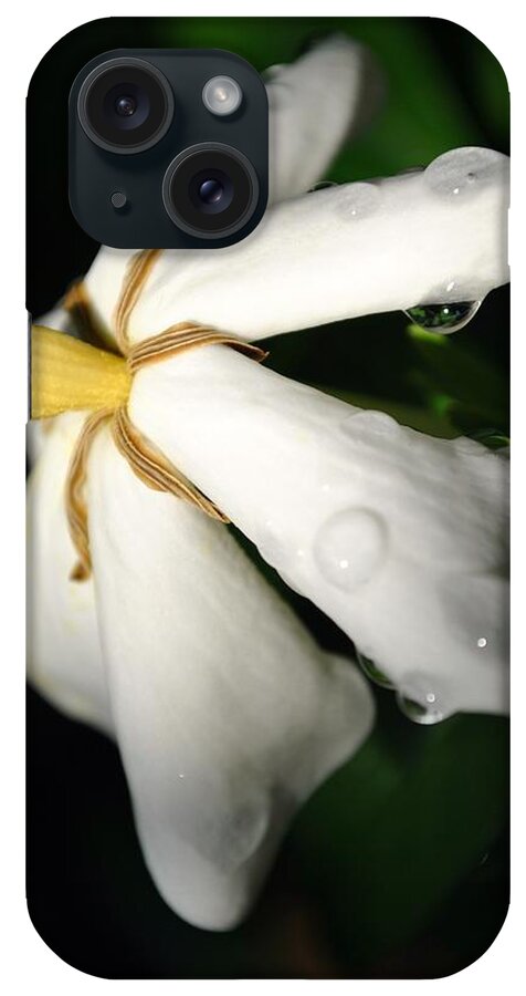 Gardenia iPhone Case featuring the photograph Sun Kissed Gardenia #2 by Kelly Nowak
