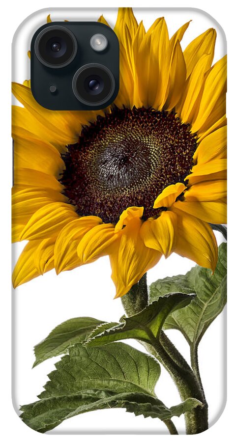 Flower iPhone Case featuring the photograph Sunflower #2 by Endre Balogh