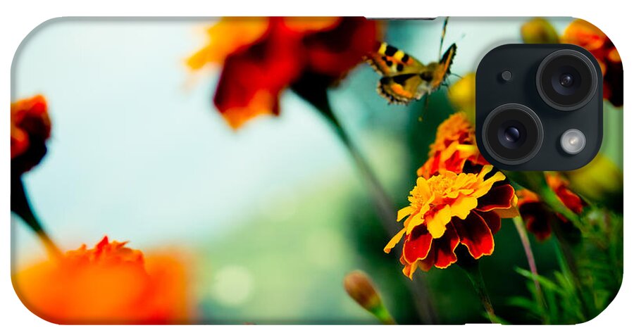 Buterfly iPhone Case featuring the photograph Tagetes and Buterfly fly away #2 by Raimond Klavins