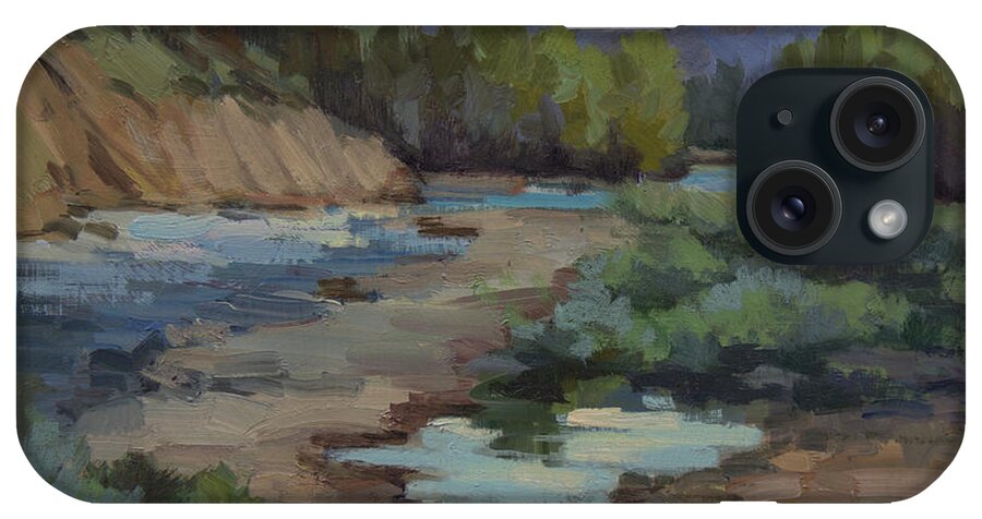 Teanaway River iPhone Case featuring the painting Teanaway River #2 by Diane McClary