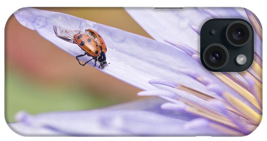 Ladybug iPhone Case featuring the photograph Unfurling For Flight #2 by Priya Ghose