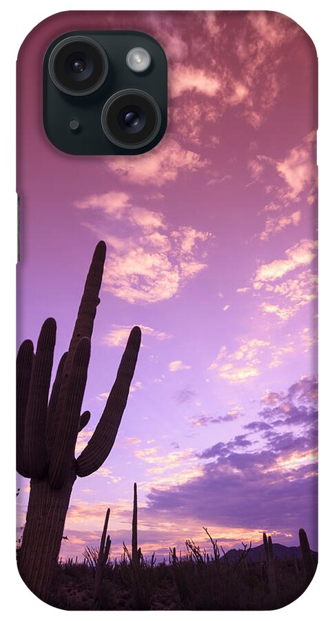 Saguaro Cactus iPhone Case featuring the photograph Usa, Arizona, Tucson, Saguaro National #2 by Michele Falzone