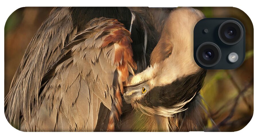 Animal iPhone Case featuring the photograph USA, Florida, Everglades National Park #2 by Jaynes Gallery