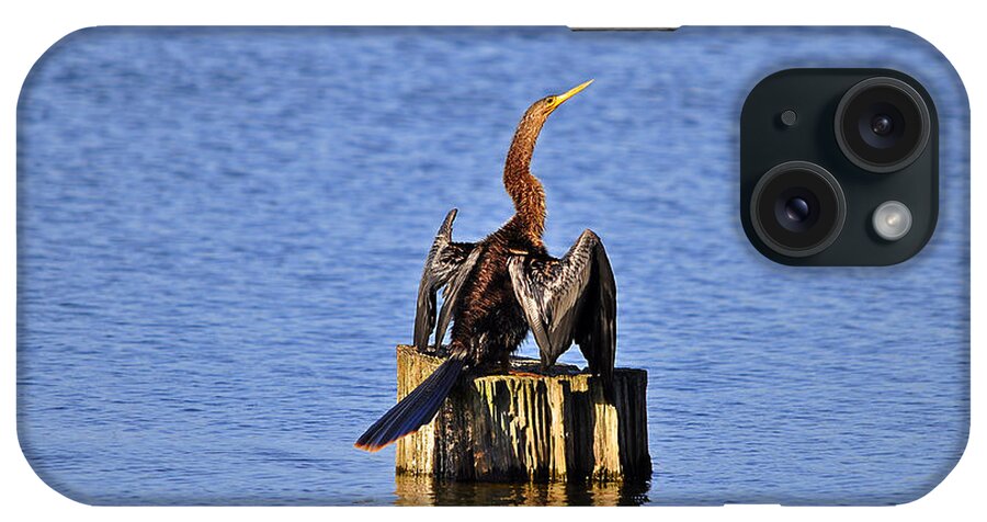 Anhinga iPhone Case featuring the photograph Wet Wings #2 by Al Powell Photography USA