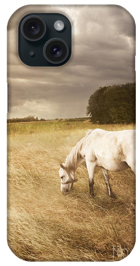 Horse iPhone Case featuring the photograph White Horse #1 by Jelena Jovanovic