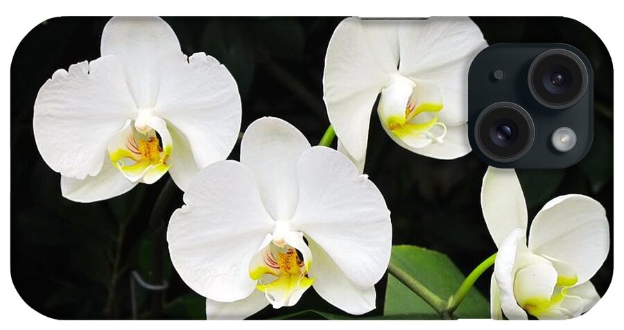 Orchid iPhone Case featuring the photograph White orchids #2 by Sue Morris
