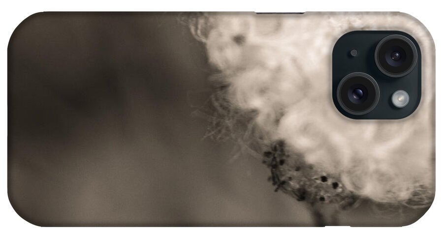 Flower Photo iPhone Case featuring the photograph White Whisper #2 by Sara Frank
