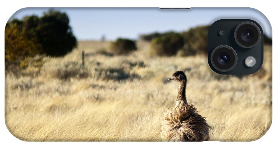 Animal iPhone Case featuring the photograph Wild Emu #2 by THP Creative