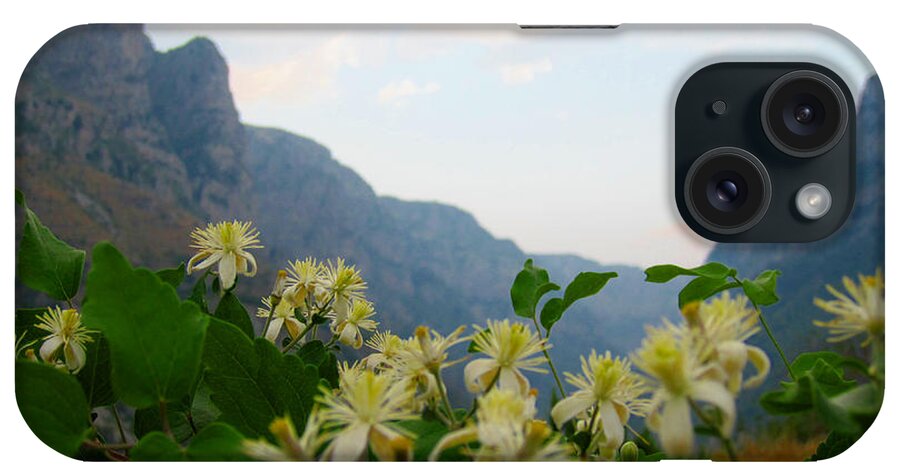 Alexandros Daskalakis iPhone Case featuring the photograph Wild Flowers and Mountains #3 by Alexandros Daskalakis