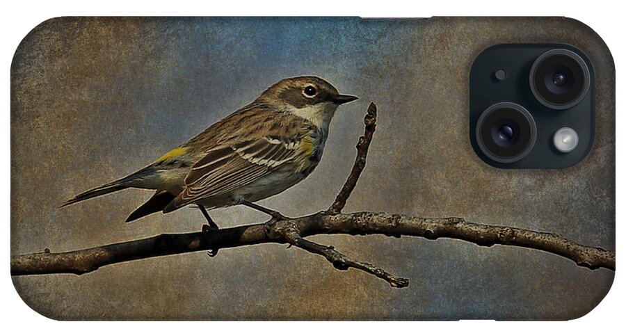 Yellow-rumped Warbler iPhone Case featuring the photograph Yellow-rumped Warbler #2 by Elizabeth Winter