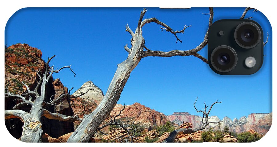 Zion National Park iPhone Case featuring the photograph Zion Reaching Tree by Debra Thompson