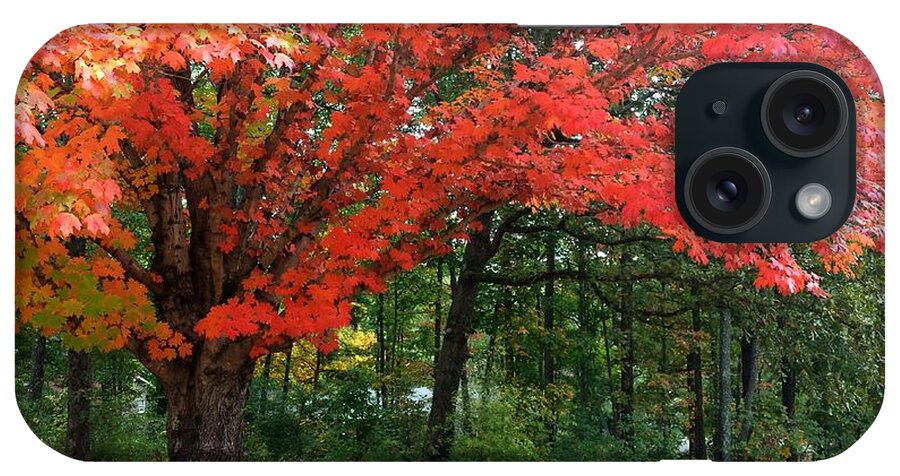 Fall iPhone Case featuring the photograph Fall Explosion of Color #20 by Kenny Glover