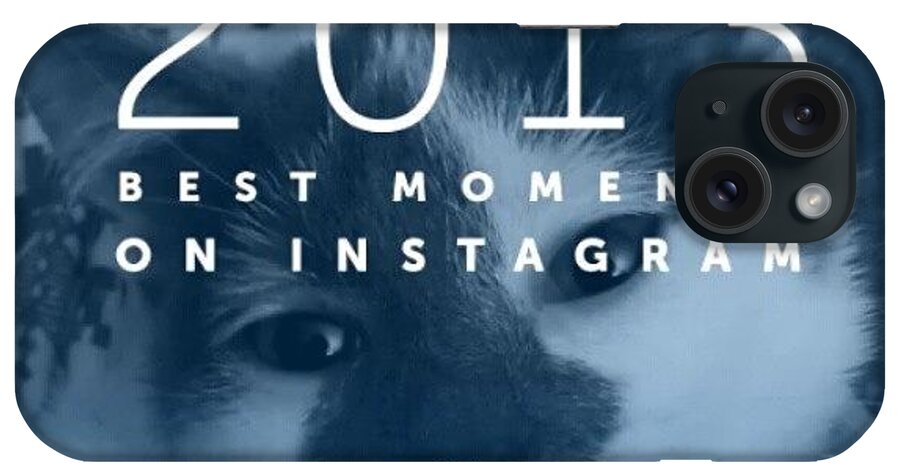Catstagram iPhone Case featuring the photograph 2013's Best Moments On Instagram by Haley BCU