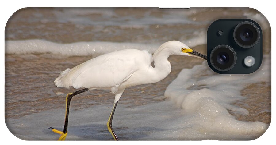 Snowy Egret iPhone Case featuring the photograph 22- Snowy Egret by Joseph Keane