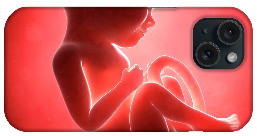 3 Dimensional iPhone Case featuring the photograph Human Fetal Development #24 by Sebastian Kaulitzki