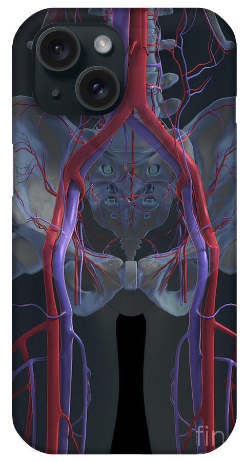 Transparent iPhone Case featuring the photograph The Cardiovascular System #36 by Science Picture Co
