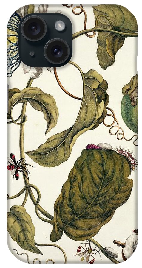 Passiflora iPhone Case featuring the photograph Insects Of Surinam #29 by Natural History Museum, London/science Photo Library