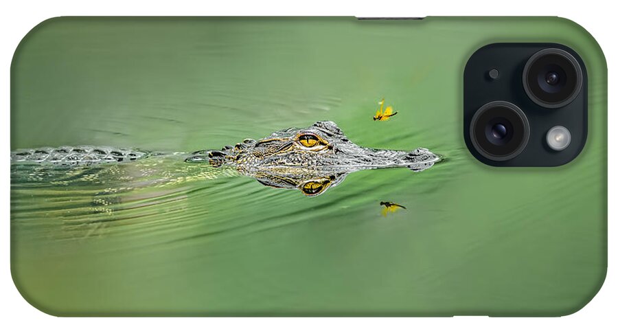 Aggression iPhone Case featuring the photograph Alligator #3 by Peter Lakomy