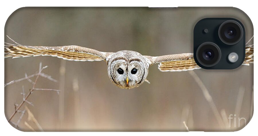 Barred Owl iPhone Case featuring the photograph Barred Owl In Flight #5 by Scott Linstead